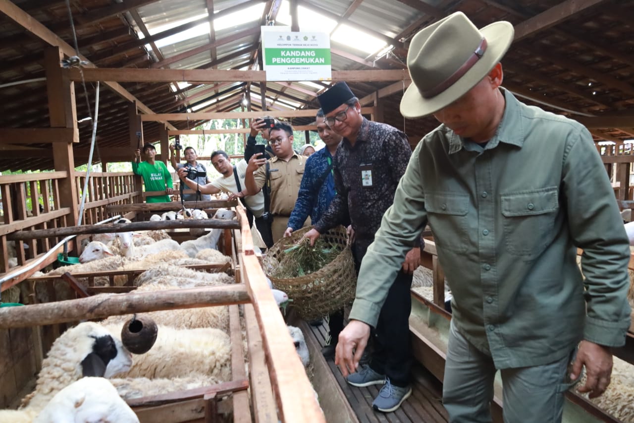 BAZNAS Ri luncurkan balai ternak Gunungkidul Yogyakarta