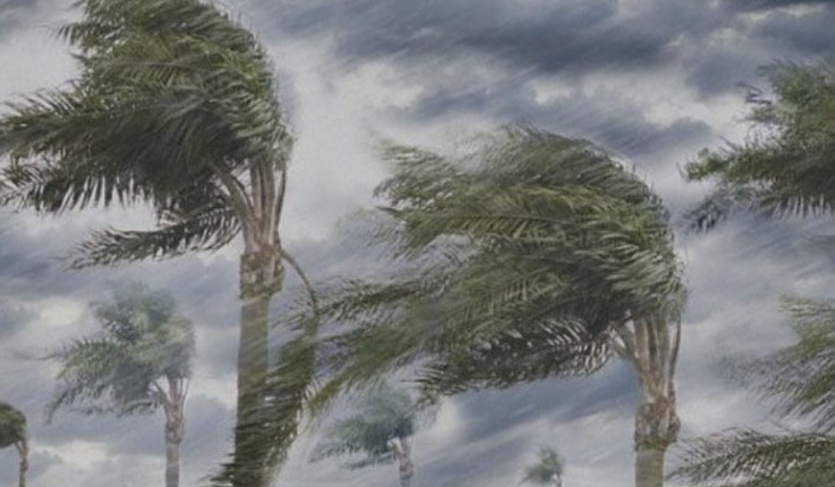 Prakiraan cuaca, angin kencang melanda sebagian wilayah