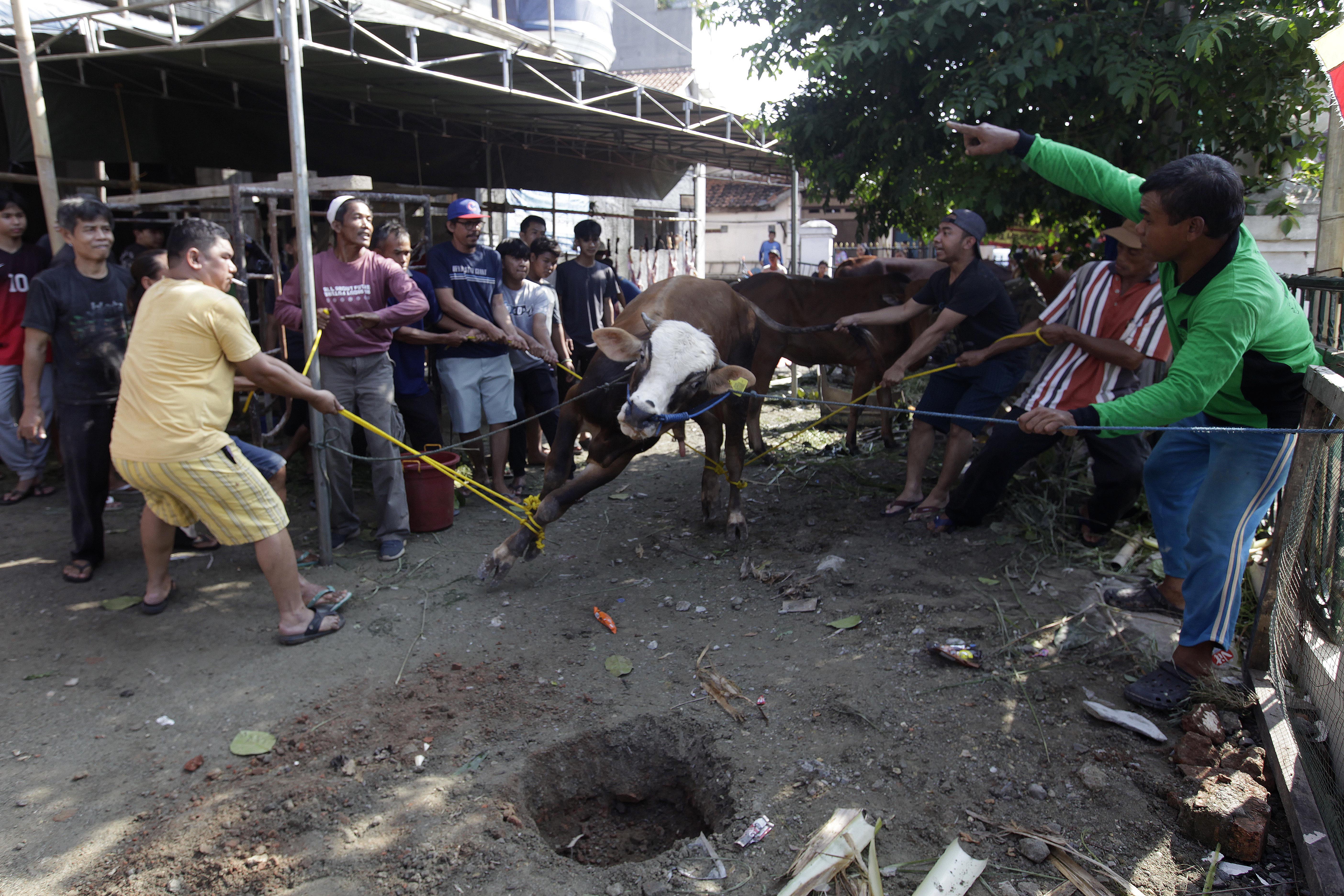 12 Keutamaan Berkurban di Hari Raya Idul Adha, Amalan yang Paling Dicintai Allah SWT 