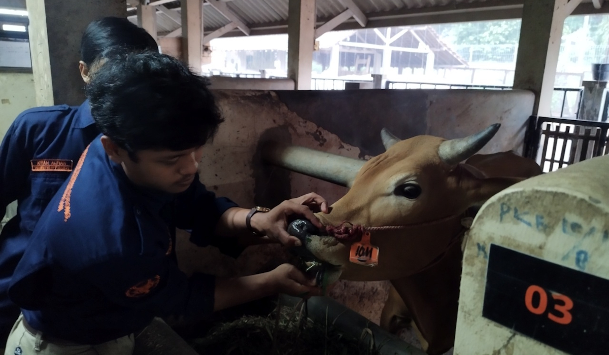 Anggaran Pendidikan Dinilai tidak Efektif, Tersebar ke Banyak K/L dan Melanggar Konstitusi