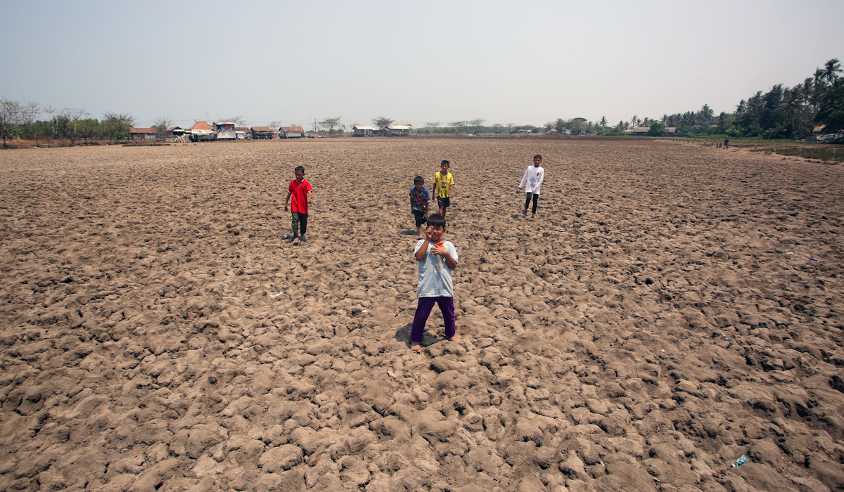 Produksi Beras belum Pulih Jelang Kemarau, Pengamat: Tidak Ada Jalan Lain Pemerintah Selain Impor Beras