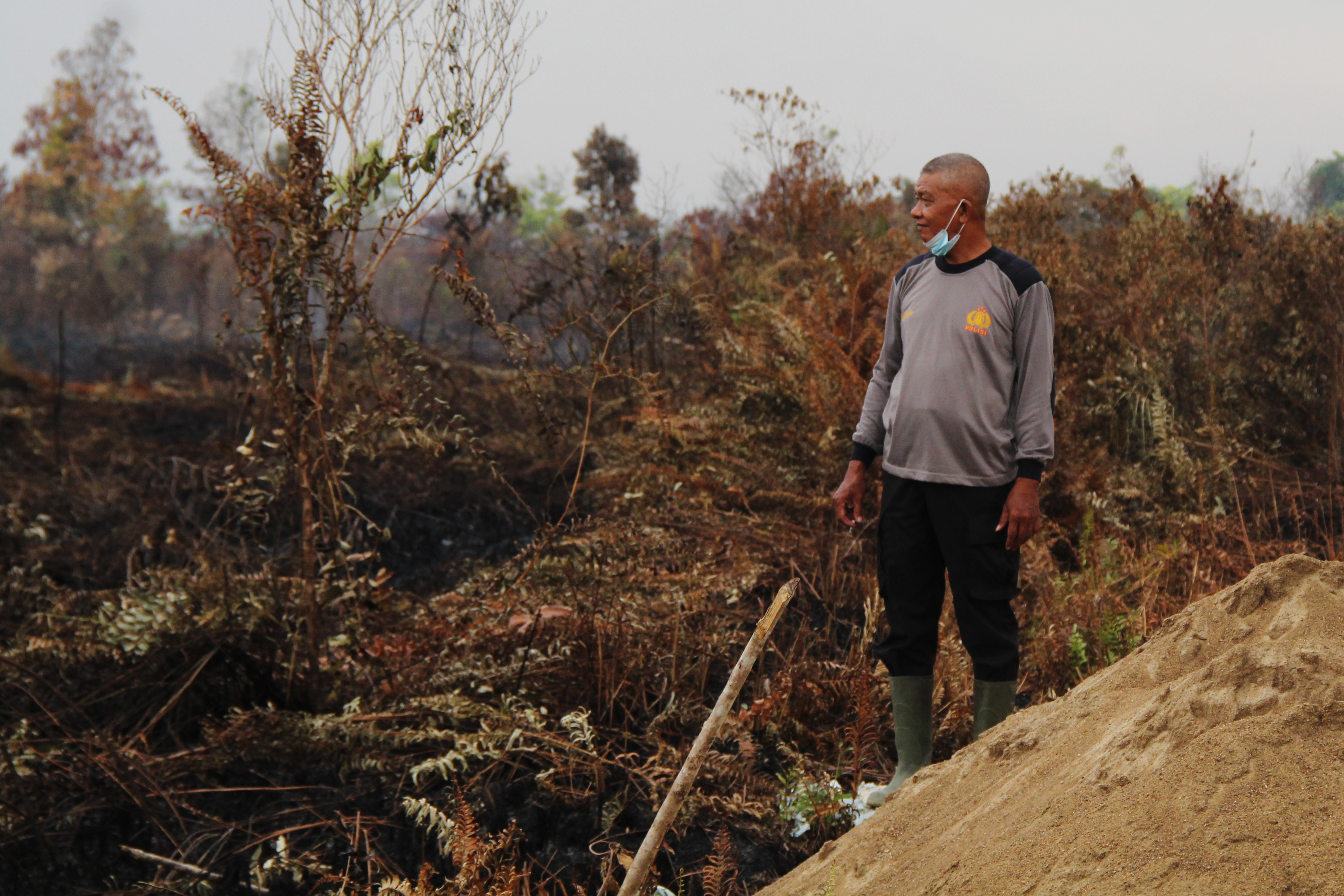 Kondisi hutan dan lahan gambut yang telah habis terbakar di Pontianak, Kalimantan Barat, Selasa (15/3/2022)