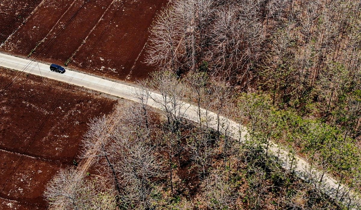 Foto udara pengendara melintasi hutan jati yang mengering di Dander, Bojonegoro, Jawa Timur, Jumat (27/10/2023).