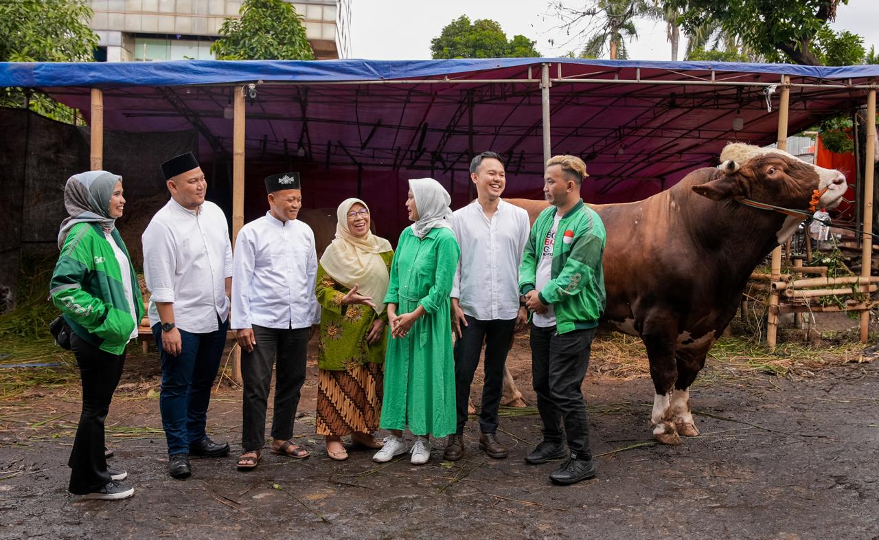 Penyaluran hewan kurban yang akan dipotong.