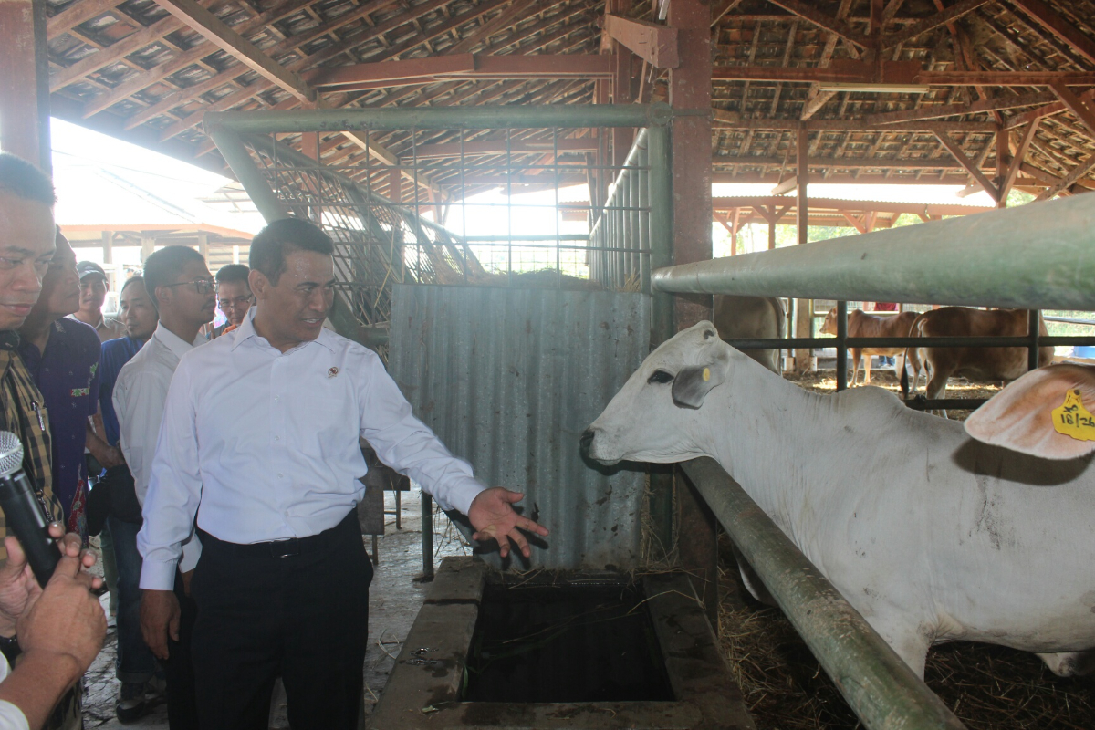 Mentan Pastikan Ketersediaan Hewan Kurban Aman dan Mencukupi