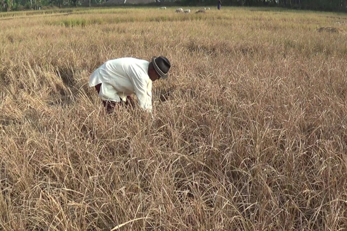 Jelang Musim Kemarau, 5 Desa di Cianjur Rawan Krisis Air Bersih
