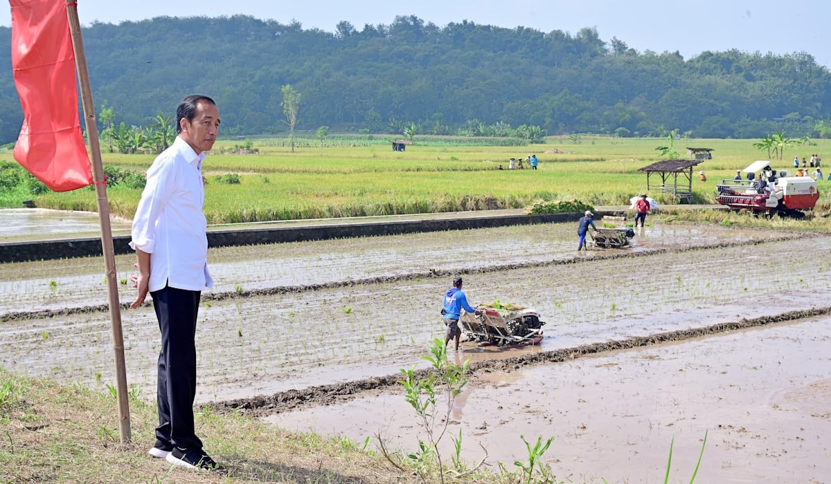 Presiden Joko Widodo meninjau pelaksanaan pemberian bantuan pompa air untuk pengairan sawah dan pertanian atau pompanisasi