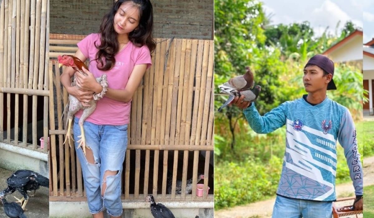 Tantangan untuk Kreator Konten dari Perdesaan