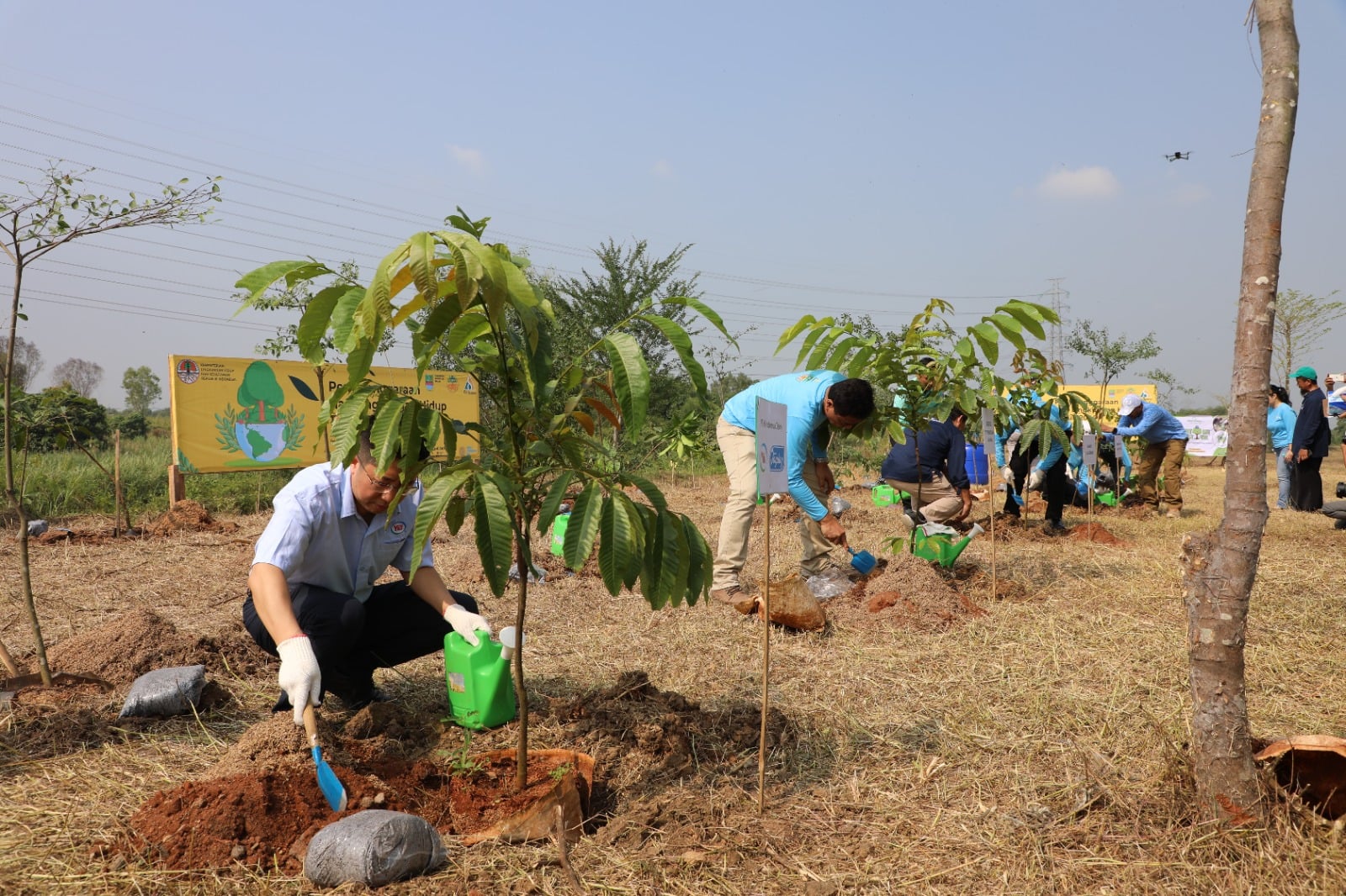 Program penanaman 1.000 pohon