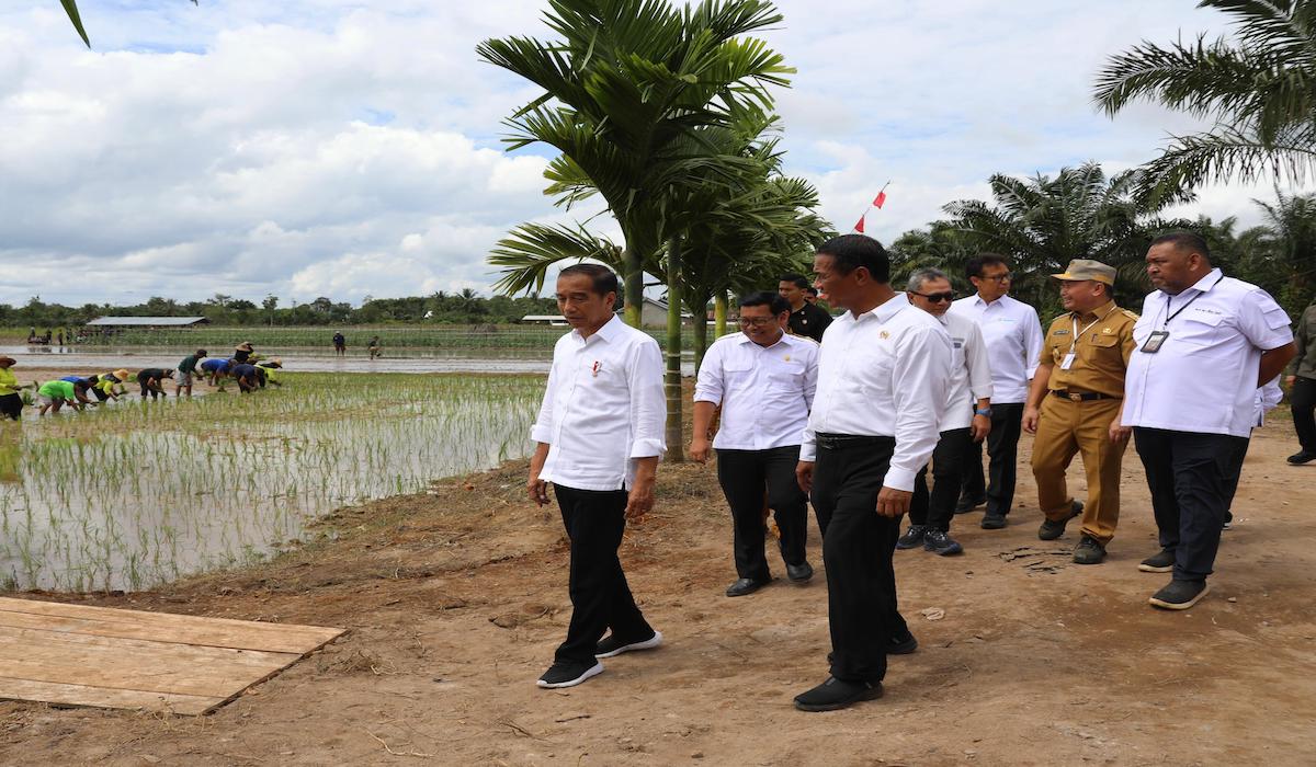 Presiden Joko Widodo (Jokowi) bersama Menteri Pertanian (Mentan) Andi Amran Sulaiman meninjau pompanisasi di Kotawaringin Timur