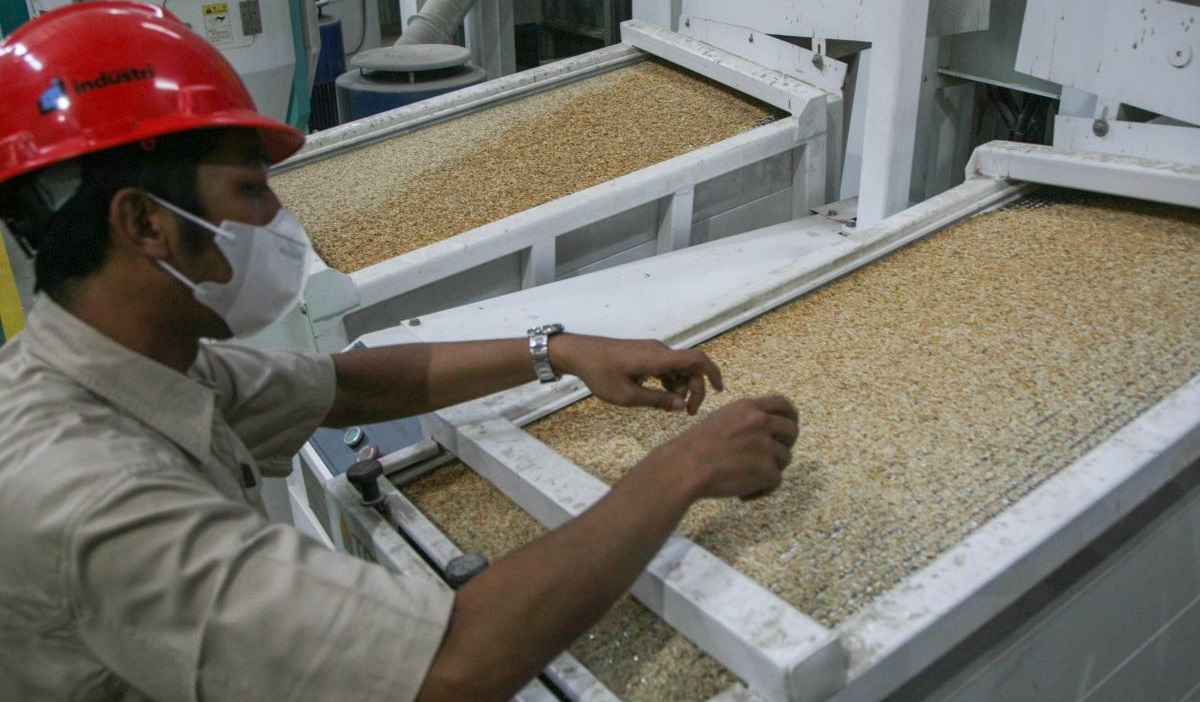 Jaga Cadangan Pangan, Bulog Serap 700 Ribu Ton Beras Petani