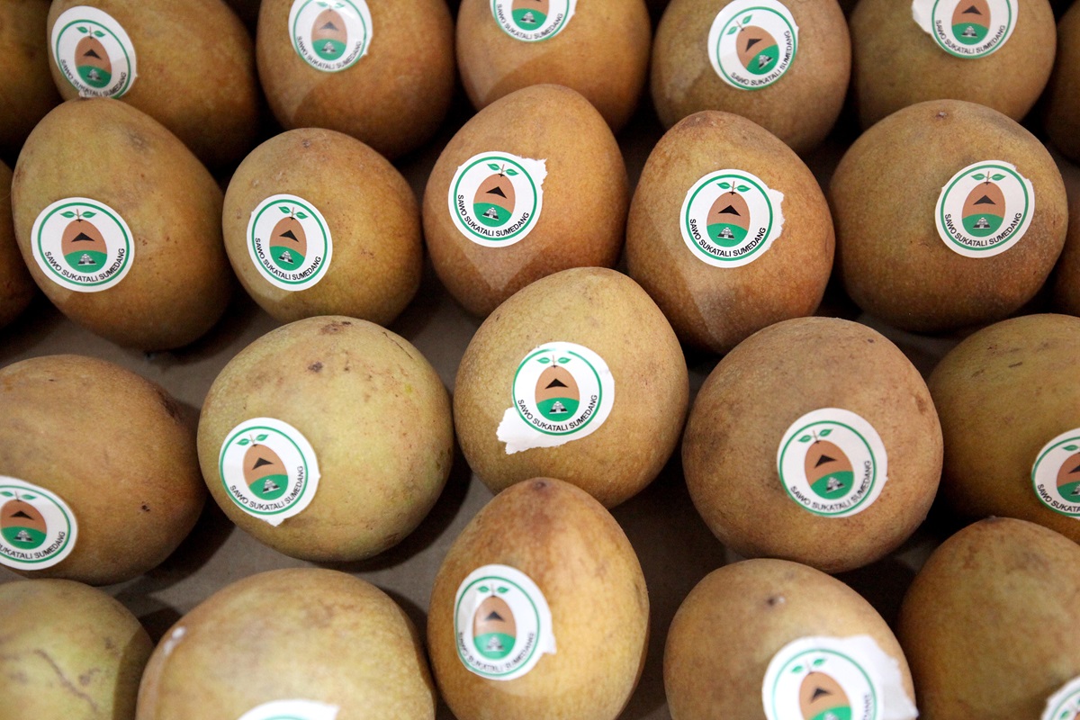 Wow ternyata sawo menyimpan banyak manfaat bagi kesehatan anda. Yuks cari tahu apa saja. 