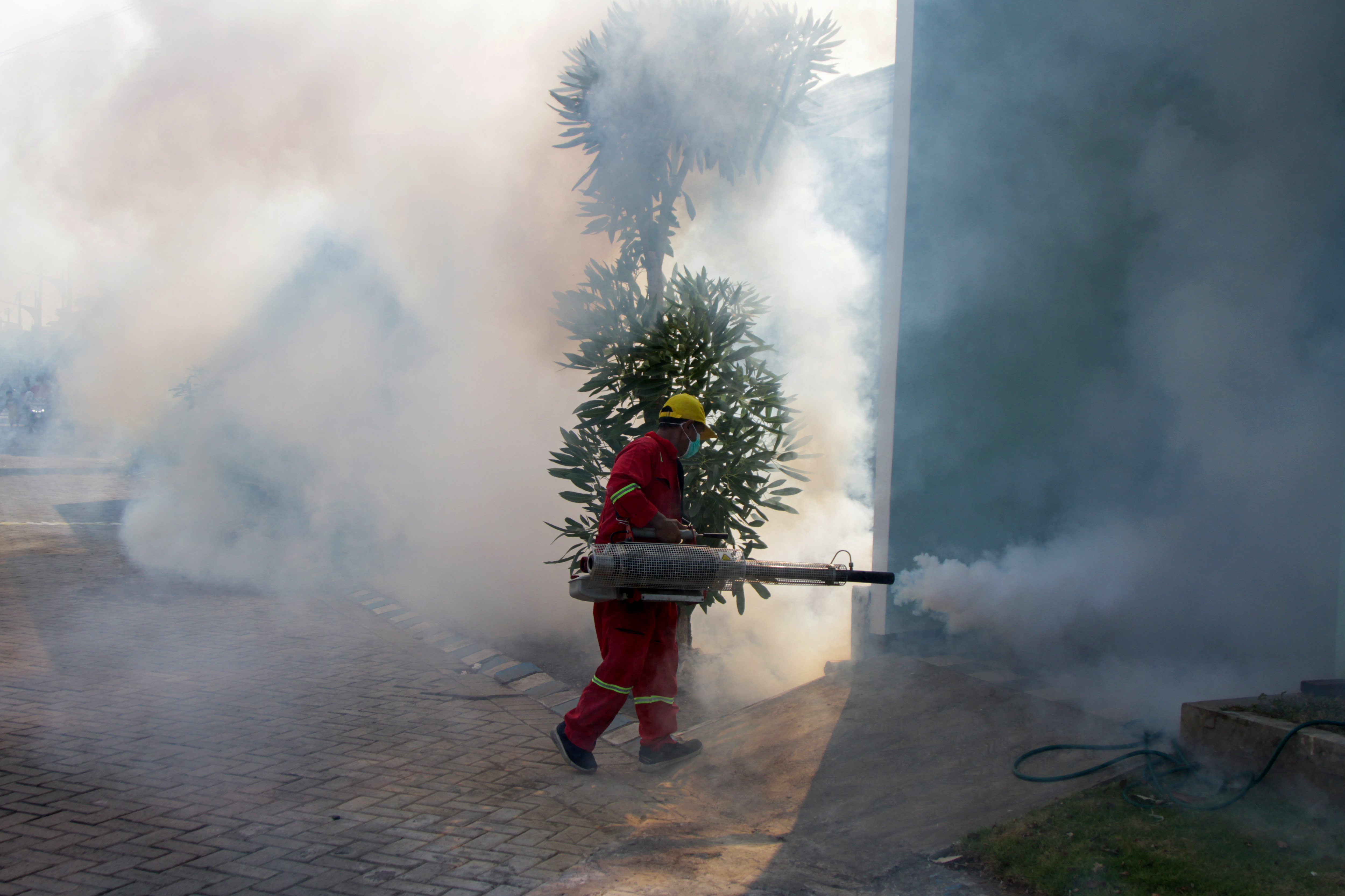 Cegah DBD petugas melakukan fogging atau pengasapan