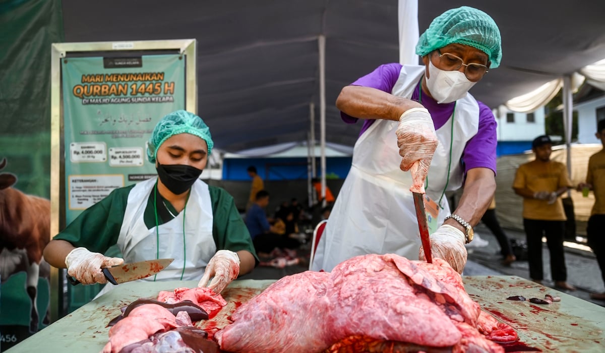 Petugas memeriksa bagian organ hati saat pemotongan hewan kurban 