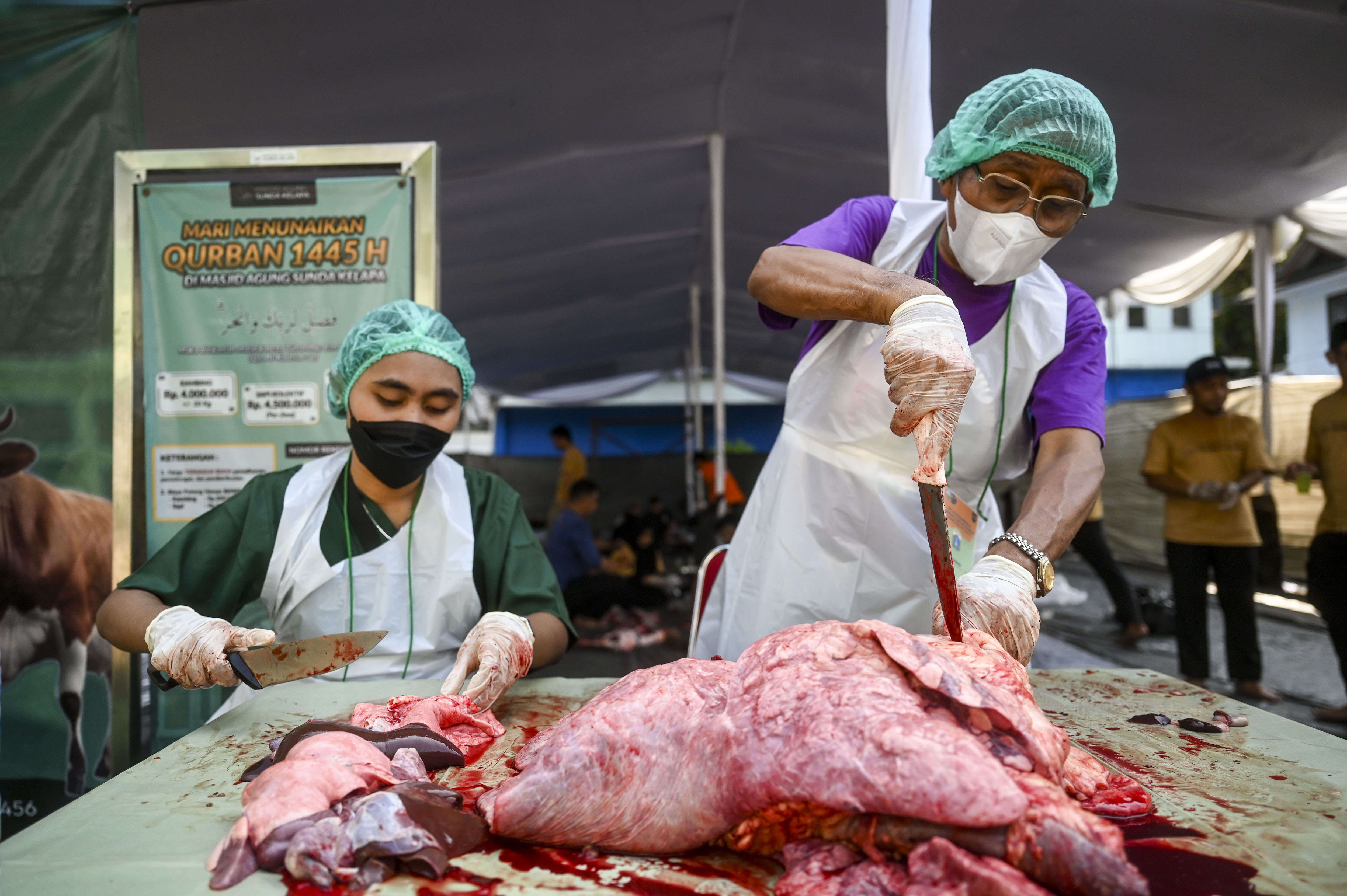 Petugas memeriksa kondisi daging dan organ tubuh hewan kurban setelah penyembelihan