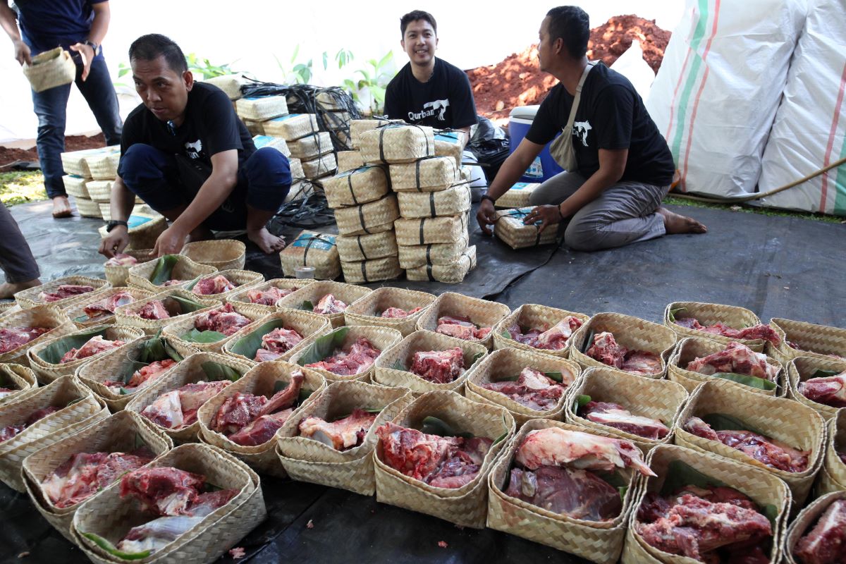 Para petugas pemotong hewan kurban menyiapkan daging untuk dibagikan kepada masyarakat.