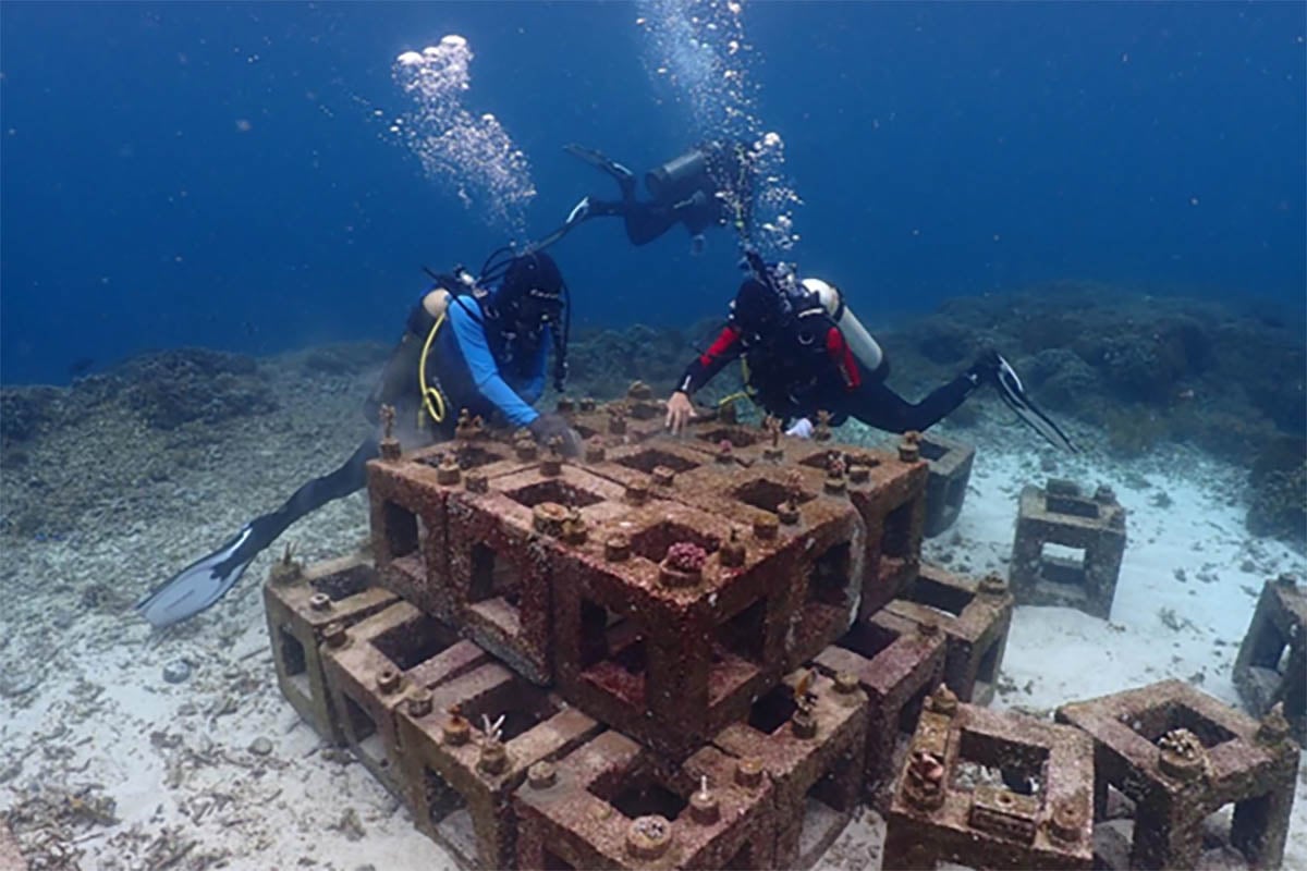 Pemantauan terumbu karang yang rutin dilakukan oleh tim Environmental Marine Harita Nickel.