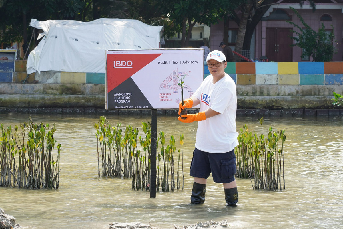 Thano Tanubrata, CEO BDO di Indonesia menanam pohon mangrove di Perairan Tanjung Elang, Pulau Pramuka, Kepulauan Seribu.