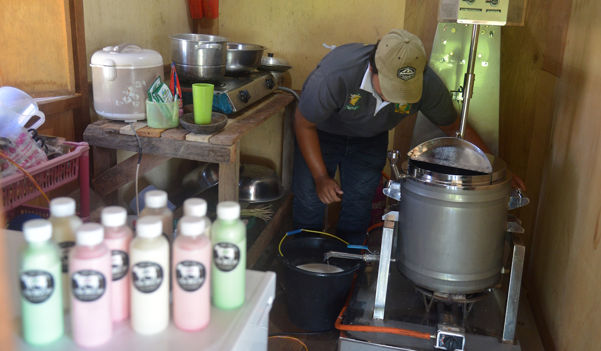 Ilustrasi: peternak melakukan pasteurisasi susu sapi di peternakan tradisional 