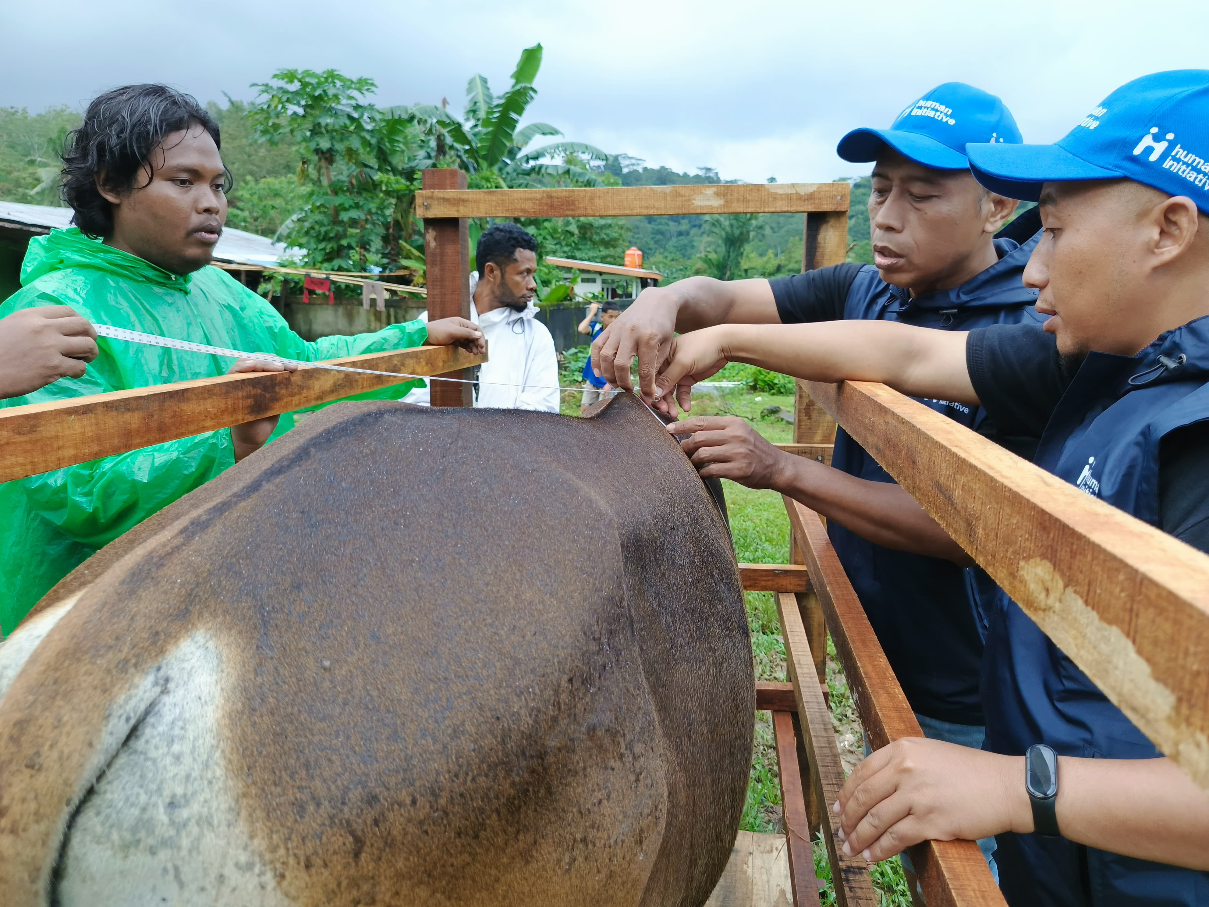 Jaga Kualitas Kurban, Human Initiative Kirim Tim QC ke Pelosok Daerah