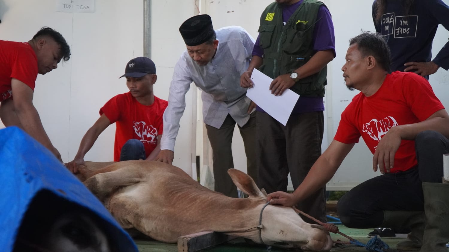 Proses penyembelihan hewan kurban di Rumah Amal Salman yang berkolaborasi dengan Masjid Salman ITB