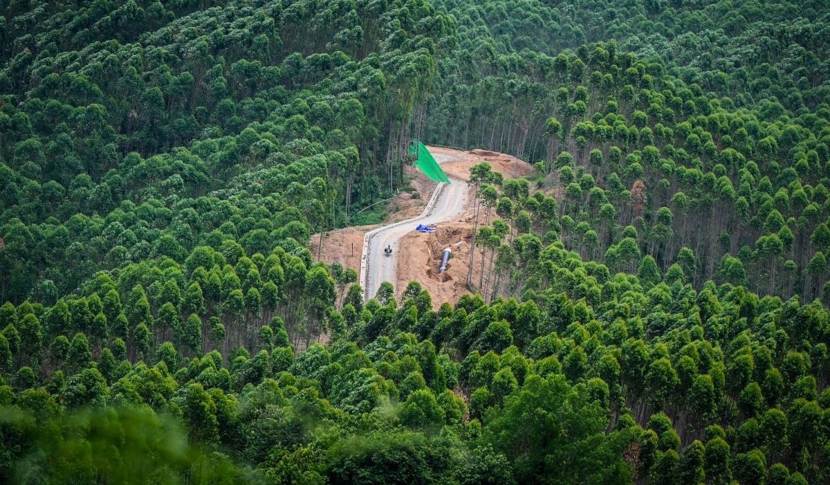 Pekerja menggunakan sepeda motor melintas di Kawasan Inti Pusat Pemerintahan (KIPP) IKN, Kabupaten Penajam Paser Utara.