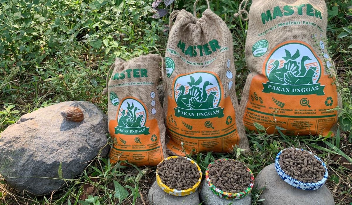 Master, pakan ternak buatan mahasiswa UNY yang mampu sembuhkan unggas dari penyakit CRD. 