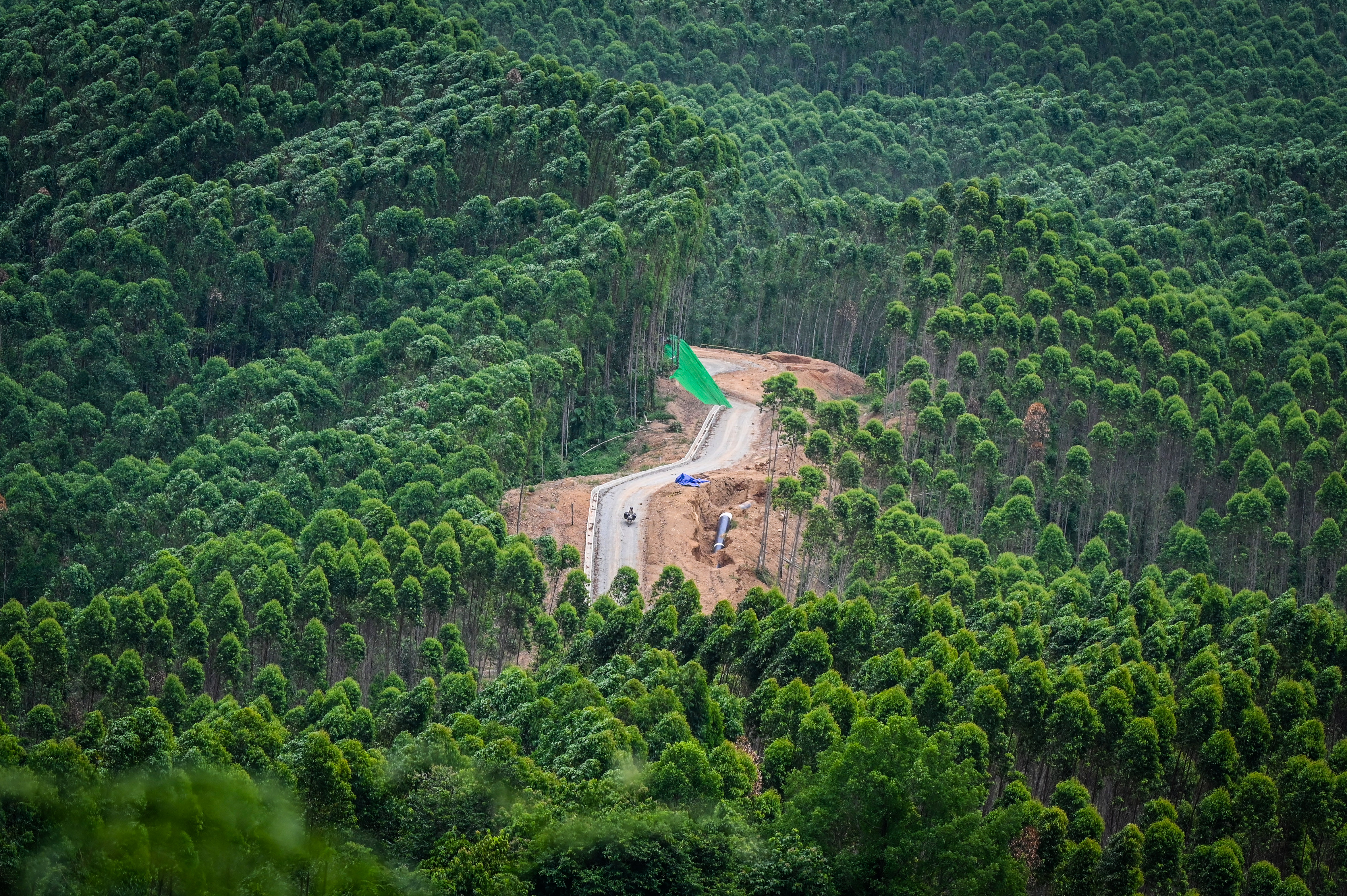 Pekerja menggunakan sepeda motor melintas di Kawasan Inti Pusat Pemerintahan (KIPP) Ibu Kota Nusantara (IKN)
