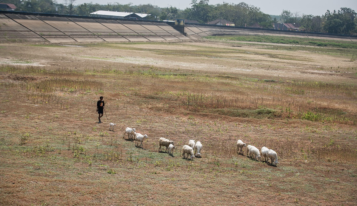 Ilustrasi - Sebagian besar daerah di Jawa Tengah telah memasuki musim kemarau