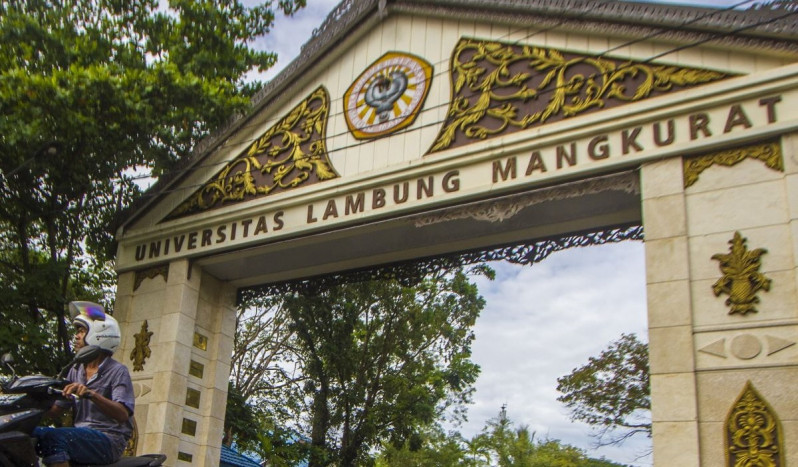 Universitas Lambung Mangkurat