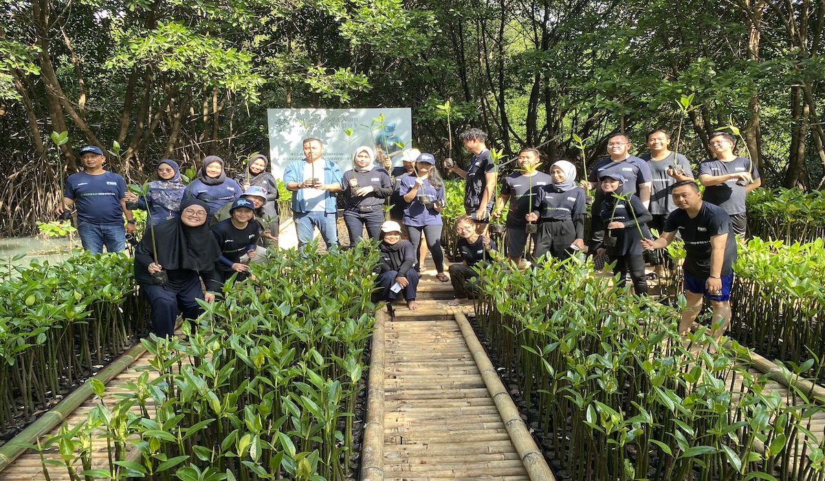 Penanaman mangrove dari PNM di 14 lokasi pesisir