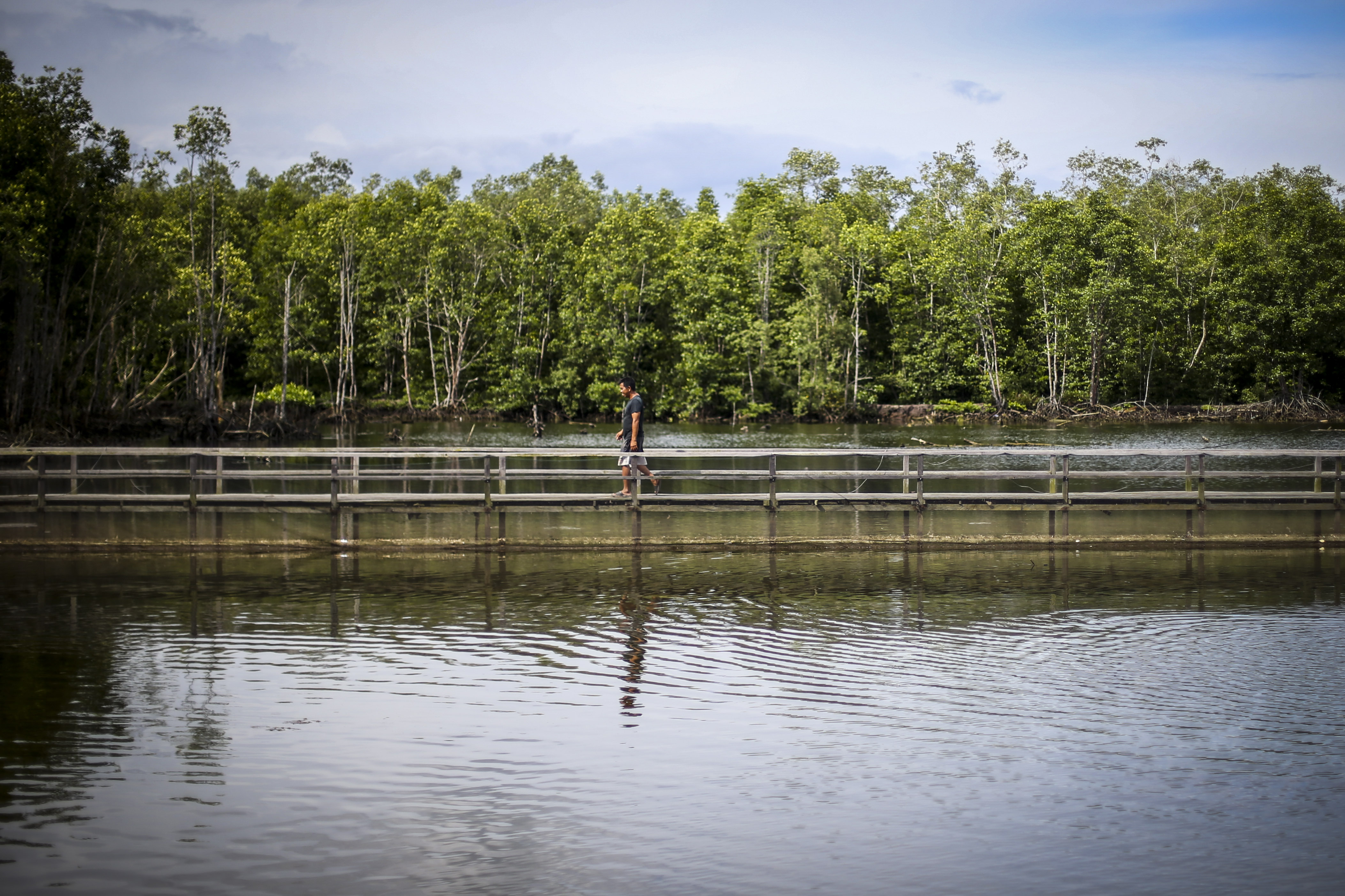 Nelayan melintas di hutan mangrove Teluk Balikpapan, Kariangau, Kalimantan Timur.