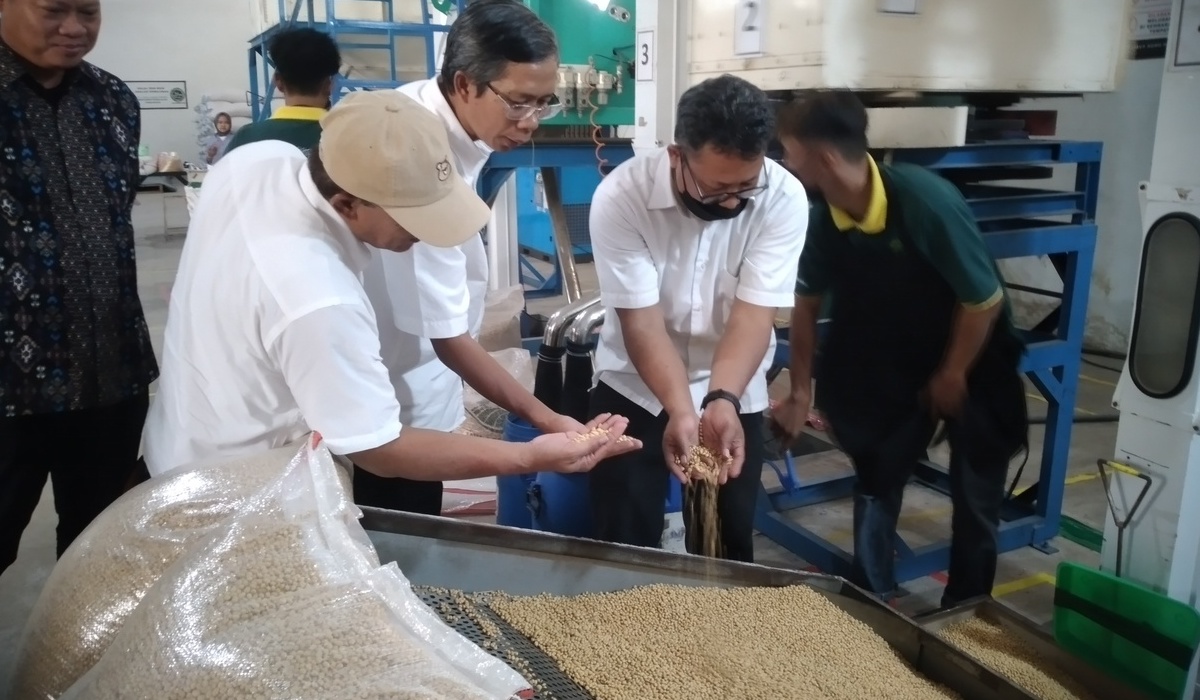 Proses panen kedelai di SRG Kabupaten Bantul, Yogyakarta.