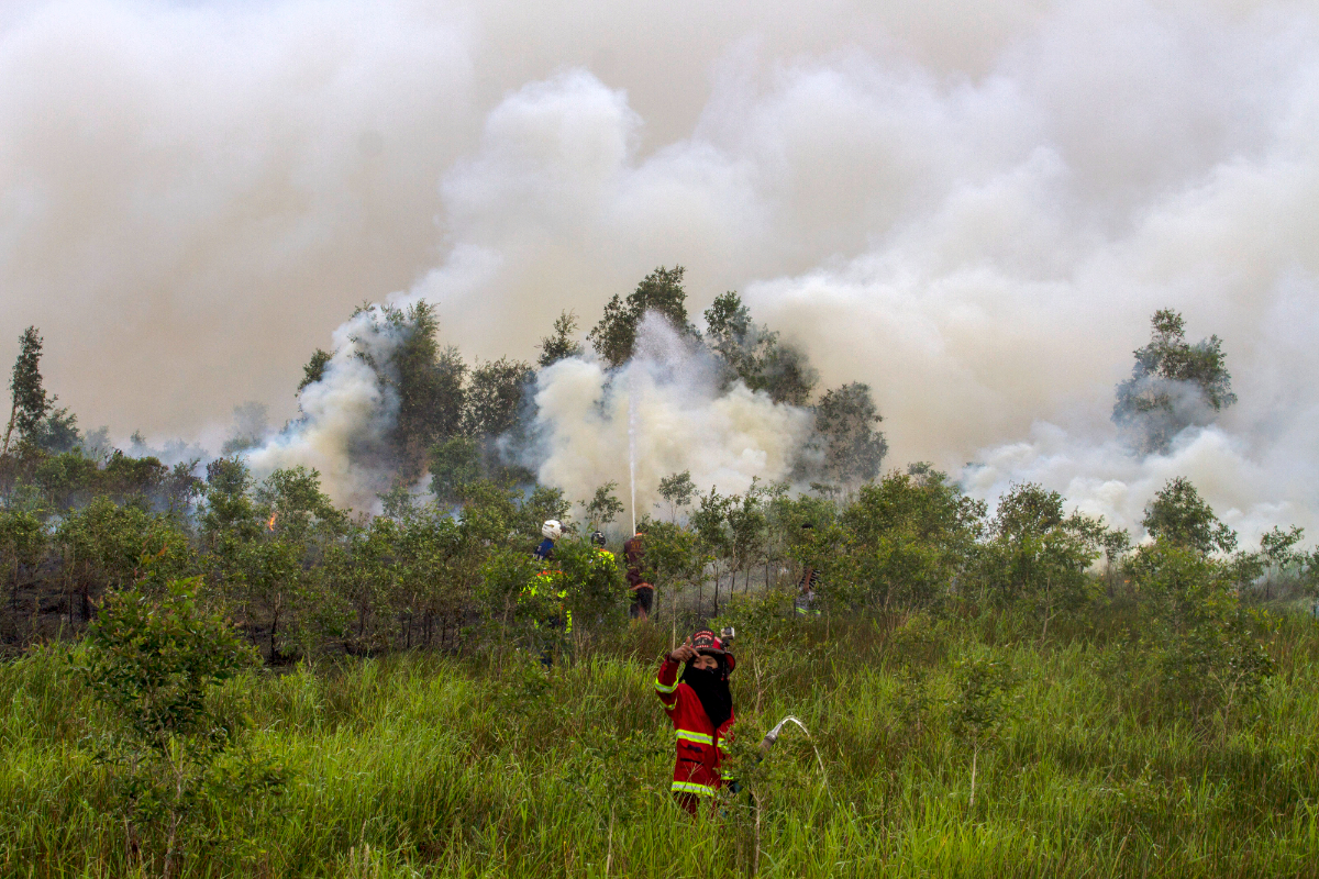 Ilustrasi, Sejumlah relawan berupaya memadamkan kebakaran lahan di Kecamatan Liang Anggang, Banjarbaru, Kalimantan Selatan