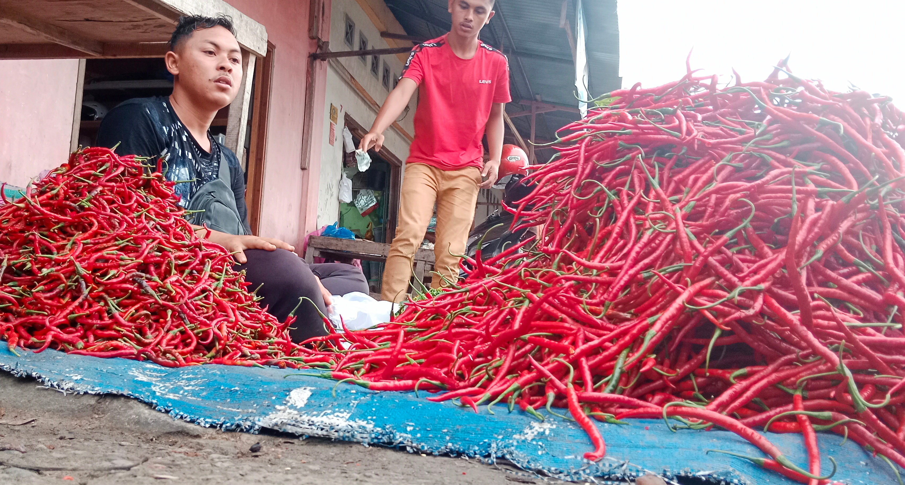 Harga Pangan Hari Ini: Cabai Turun Menjadi Rp30.570 per kg