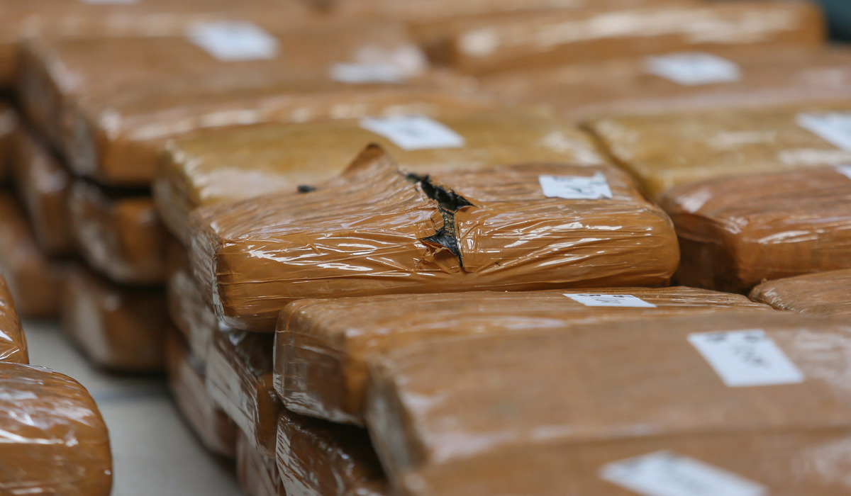 Ilustrasi barang bukti ganja dalam kasus narkoba.