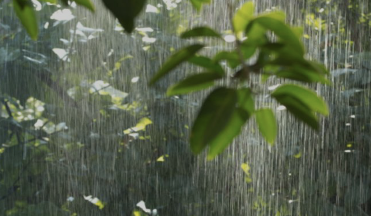 Prakiraan cuaca Kamis, 25/7/2024