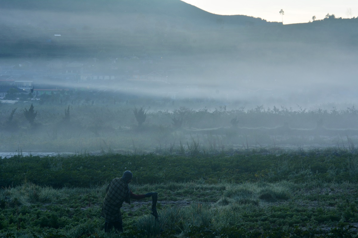 BMKG mengungkapkan fenomena suhu dingin masih akan terus terjadi di Jawa Tengah dan sejumlah wialyah mengalami hujan ringan.
