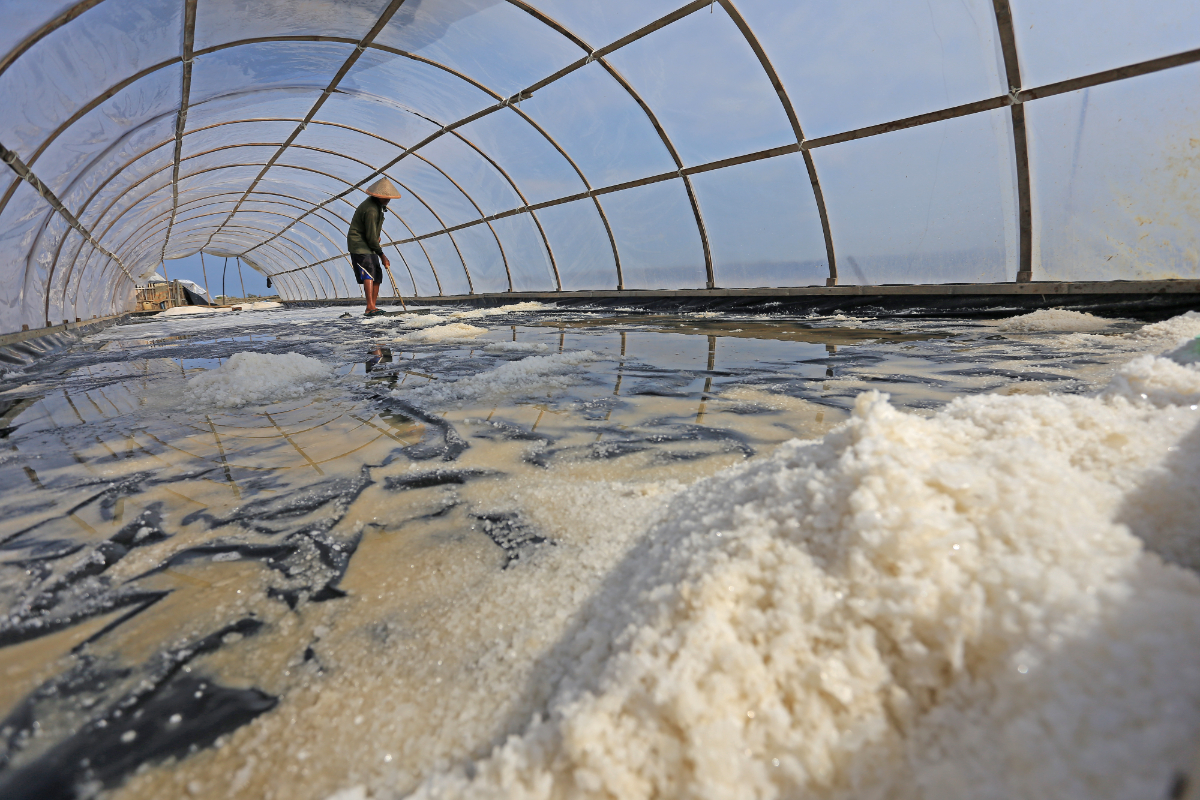  Petambak memanen garam di Kapetakan, Kabupaten Cirebon, Jawa Barat, Jumat (13/1/2023). Kementerian Kelautan dan Perikanan (KKP) akan mengem