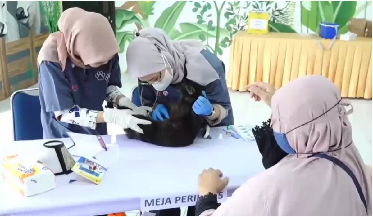 Vaksinasi rabies gratis di Kota Madiun.