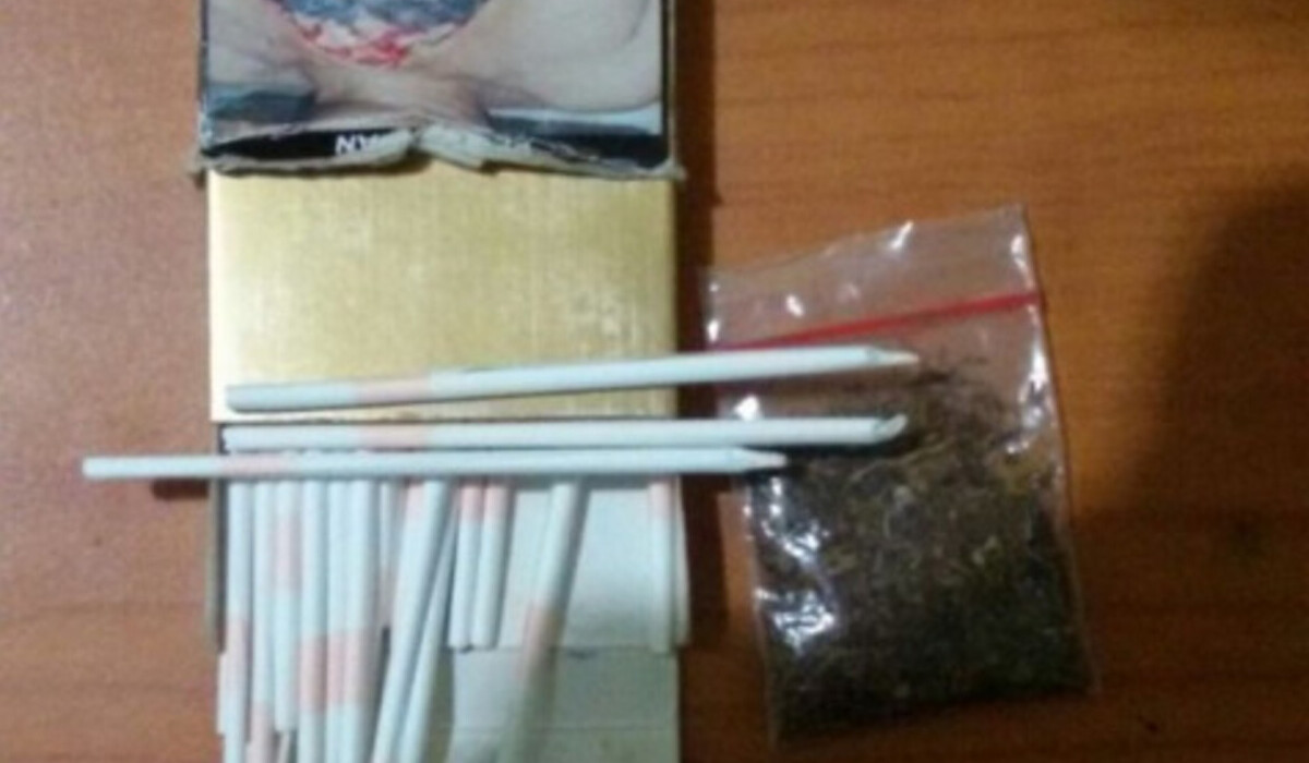 Ilustrasi, tembakau gorila.