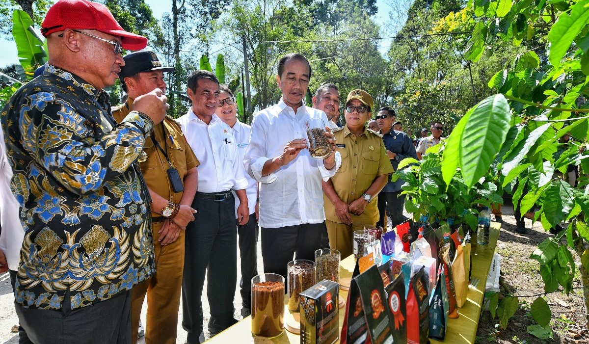Presiden Jokowi didampingi Menteri Pertanian (Mentan) Andi Amran Sulaiman meninjau perkebunan kopi di Desa Kambahang, Kecamatan Batubrak.