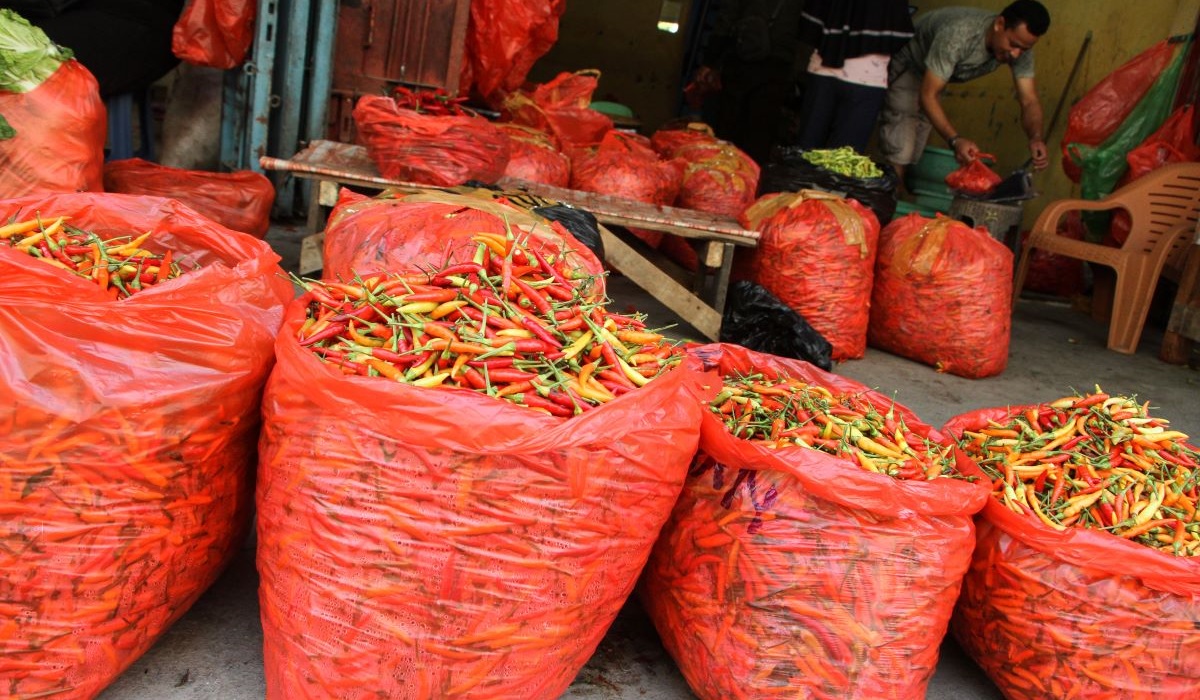 Pedagang cabai melayani pembeli di Pasar Terong Makassar, Sulawesi Selatan, Jumat (14/6/2024).