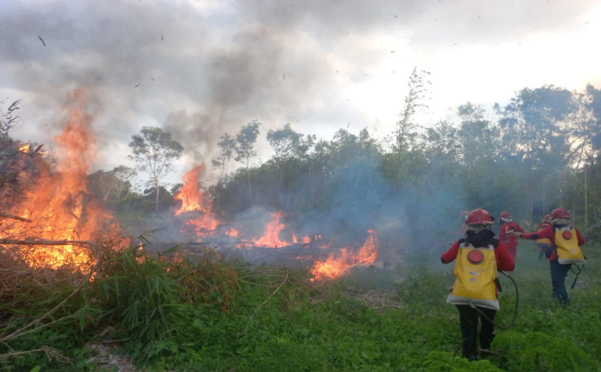 Sedikitnya 2 hektare lahan di Kabupaten Tanah Laut, Kalimantan Selatan, hangus terbakar akibat cuaca panas.