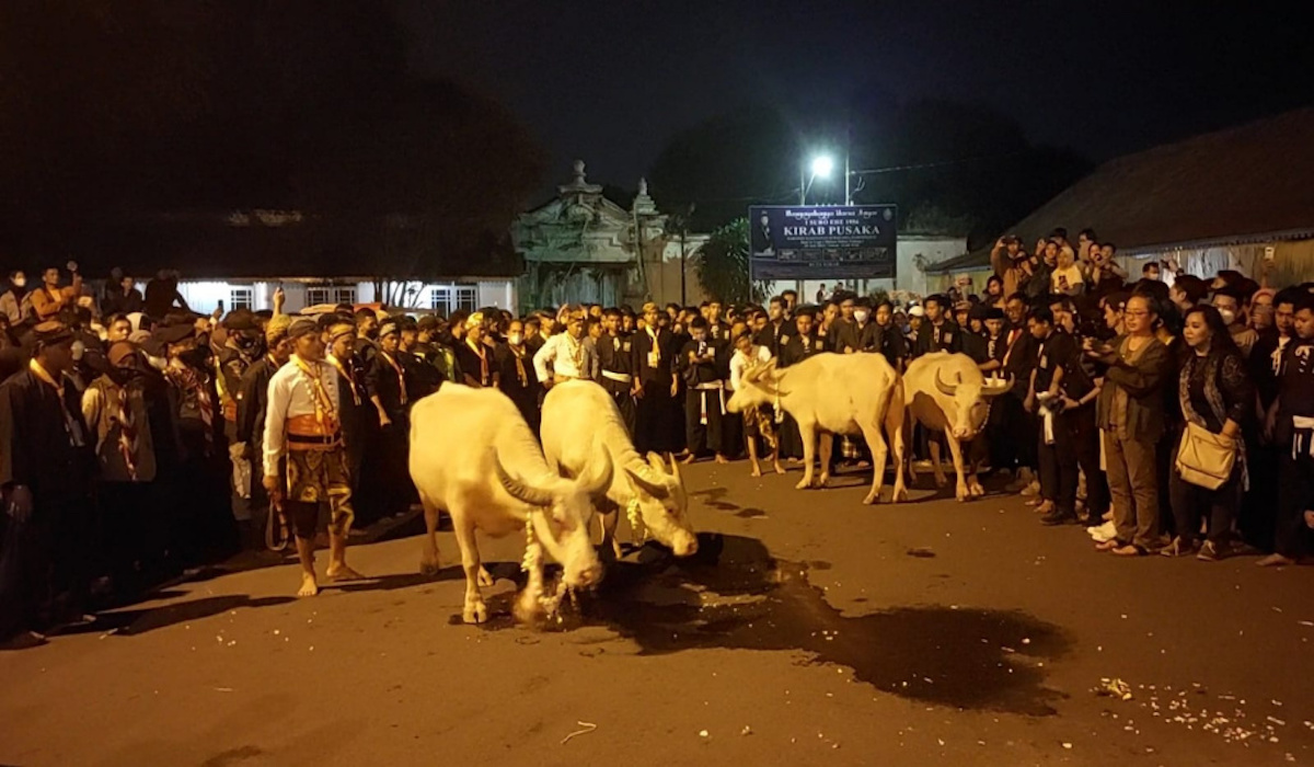 Kebo bule jadi maskot Peparnas XVII 2024