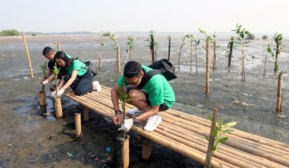Oakwood Suites Kuningan Jakarta bersama dengan Dinas Pertamanan dan Hutan Kota Provinsi DKI Jakarta menggelar penanaman 2.000 mangrove. 