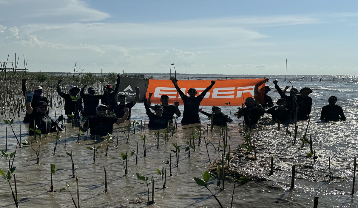 Kegiatan penanaman mangrove yang dilakukan EIGER di pesisir Karawang Utara