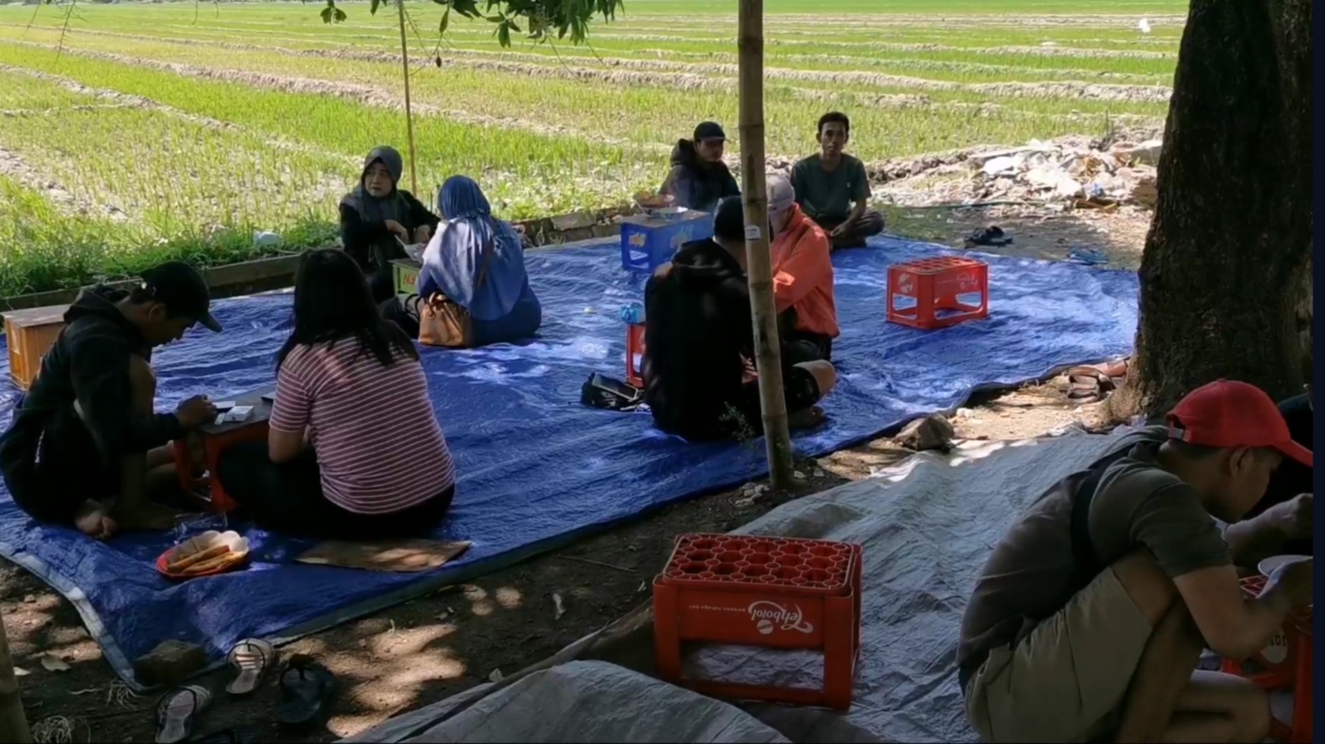 Pengunjung menikmai es teller tobrut di tepi sawah yang dijual seorang mahasiswa di Wonoayu, Sidoarjo.