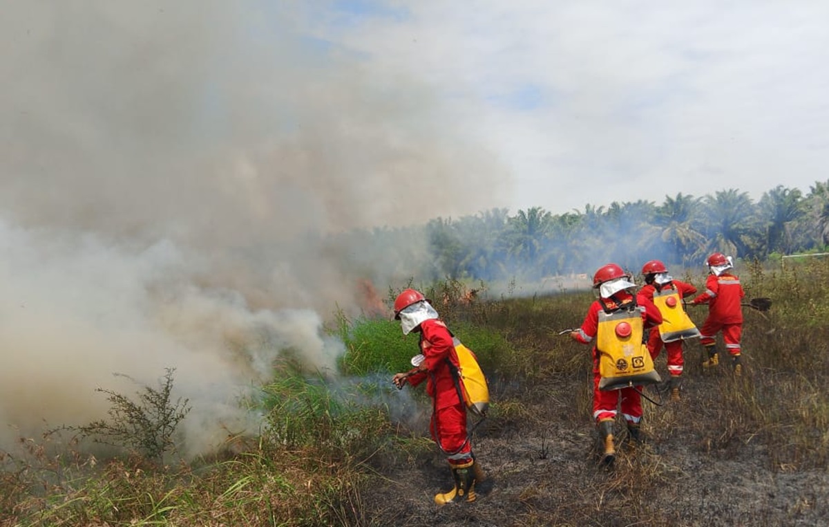 Karhutla dan Kebakaran Permukiman Mulai Marak di Kalsel