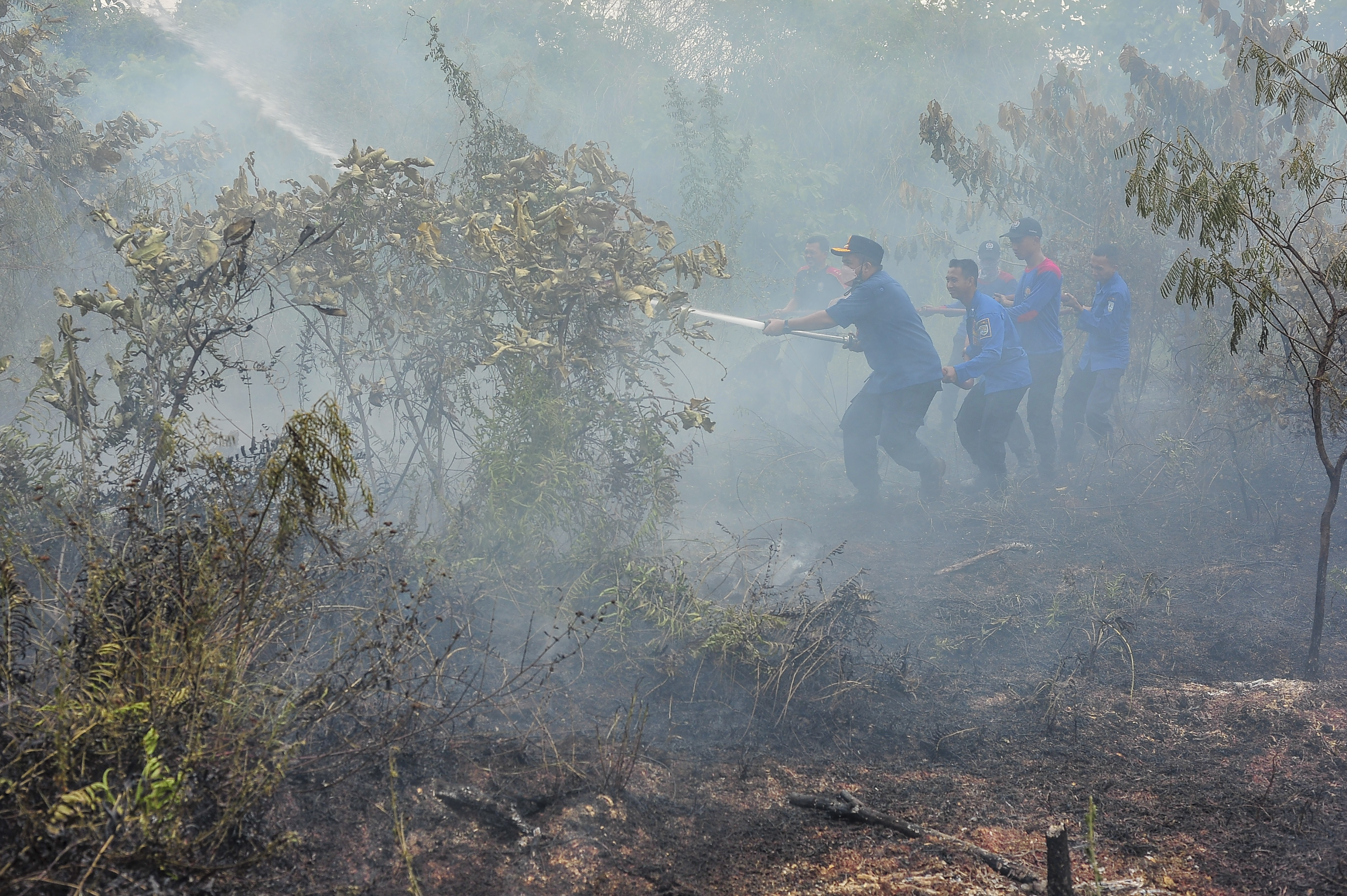 Petugas bekerja keras memadamkan kebakaran hutan dan lahan. 